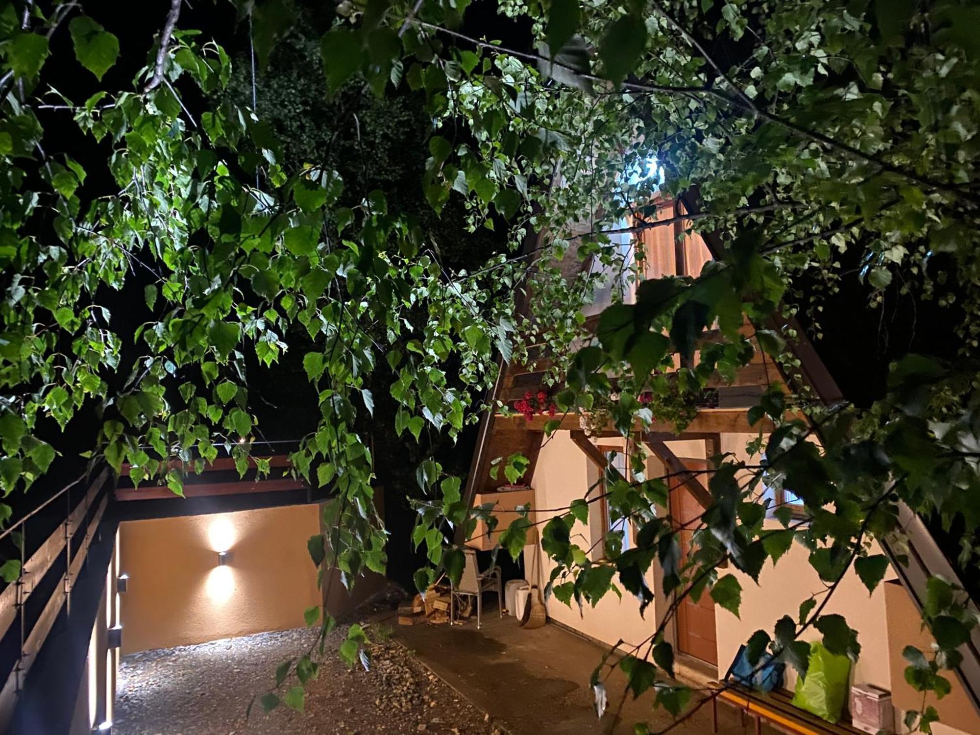 Vikendica Stojanovic Villa Mionica Exterior photo